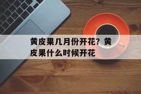黄皮果几月份开花？黄皮果什么时候开花-第1张图片-