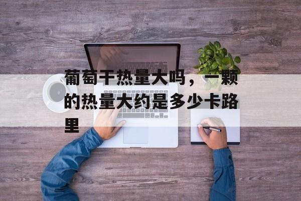 葡萄干热量大吗，一颗的热量大约是多少卡路里-第1张图片-