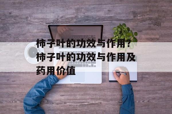 柿子叶的功效与作用？柿子叶的功效与作用及药用价值-第1张图片-