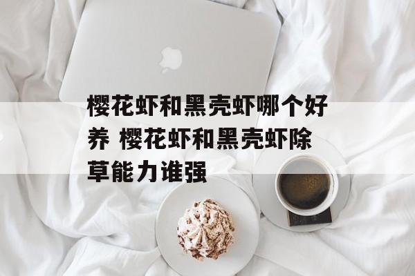 樱花虾和黑壳虾哪个好养 樱花虾和黑壳虾除草能力谁强-第1张图片-