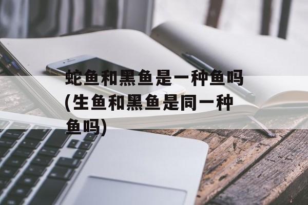 蛇鱼和黑鱼是一种鱼吗(生鱼和黑鱼是同一种鱼吗)-第1张图片-