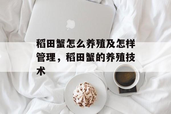稻田蟹怎么养殖及怎样管理，稻田蟹的养殖技术-第1张图片-