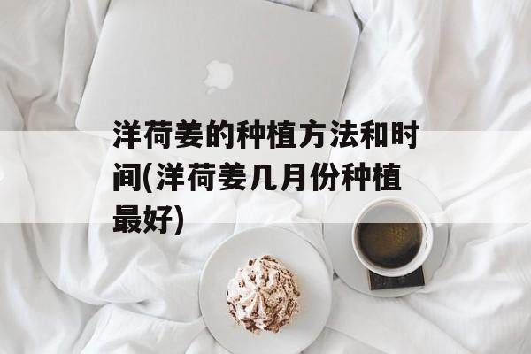 洋荷姜的种植方法和时间(洋荷姜几月份种植最好)-第1张图片-