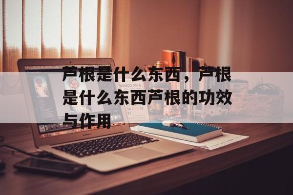 芦根是什么东西，芦根是什么东西芦根的功效与作用-第1张图片-