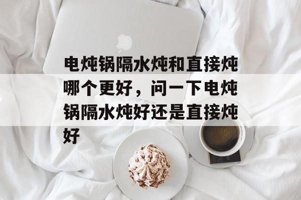 电炖锅隔水炖和直接炖哪个更好，问一下电炖锅隔水炖好还是直接炖好-第1张图片-