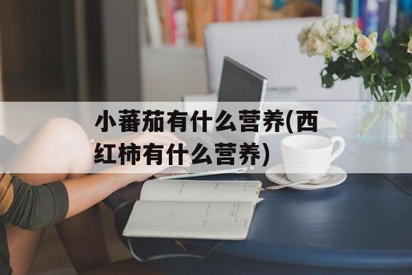 小蕃茄有什么营养(西红柿有什么营养)-第1张图片-
