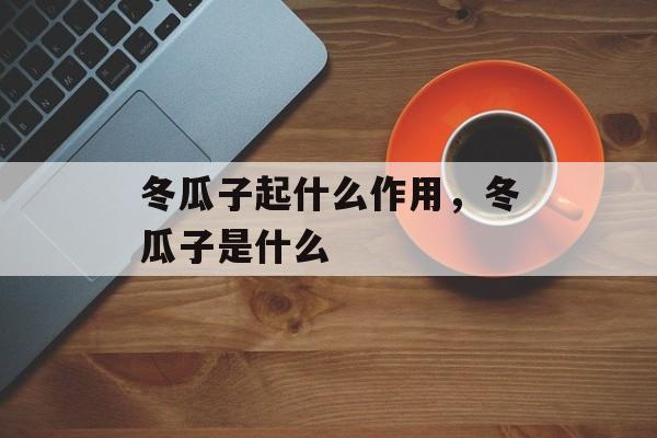 冬瓜子起什么作用，冬瓜子是什么-第1张图片-