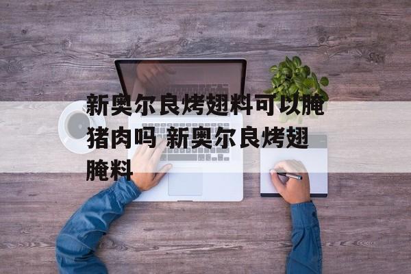 新奥尔良烤翅料可以腌猪肉吗 新奥尔良烤翅腌料-第1张图片-