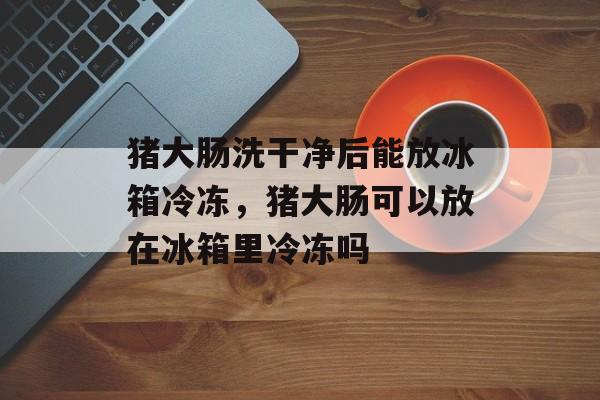 猪大肠洗干净后能放冰箱冷冻，猪大肠可以放在冰箱里冷冻吗-第1张图片-