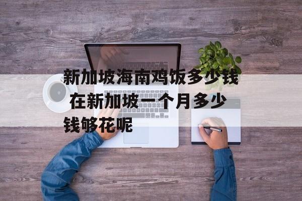 新加坡海南鸡饭多少钱 在新加坡一个月多少钱够花呢-第1张图片-