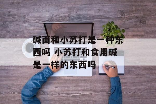 碱面和小苏打是一种东西吗 小苏打和食用碱是一样的东西吗-第1张图片-