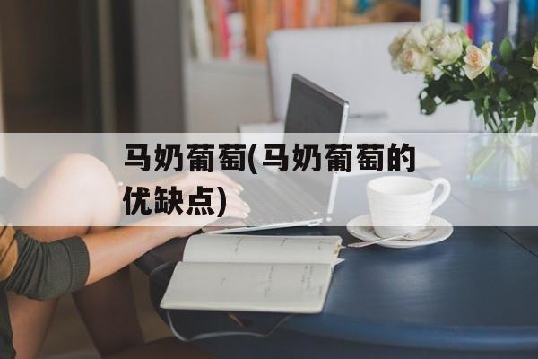马奶葡萄(马奶葡萄的优缺点)-第1张图片-