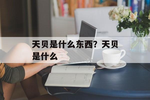 天贝是什么东西？天贝是什么-第1张图片-