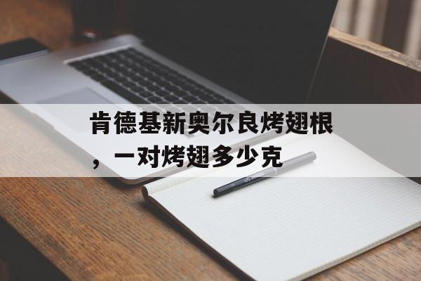 肯德基新奥尔良烤翅根，一对烤翅多少克-第1张图片-