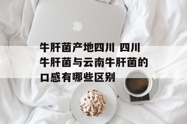 牛肝菌产地四川 四川牛肝菌与云南牛肝菌的口感有哪些区别-第1张图片-