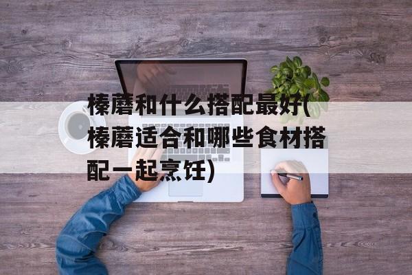 榛蘑和什么搭配最好(榛蘑适合和哪些食材搭配一起烹饪)-第1张图片-