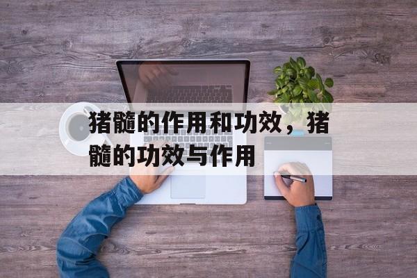 猪髓的作用和功效，猪髓的功效与作用-第1张图片-