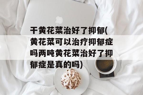 干黄花菜治好了抑郁(黄花菜可以治疗抑郁症吗两吨黄花菜治好了抑郁症是真的吗)-第1张图片-