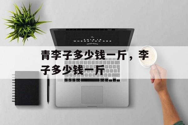 青李子多少钱一斤，李子多少钱一斤-第1张图片-