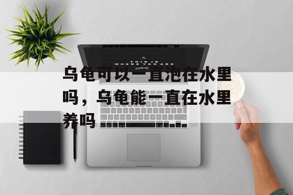 乌龟可以一直泡在水里吗，乌龟能一直在水里养吗-第1张图片-