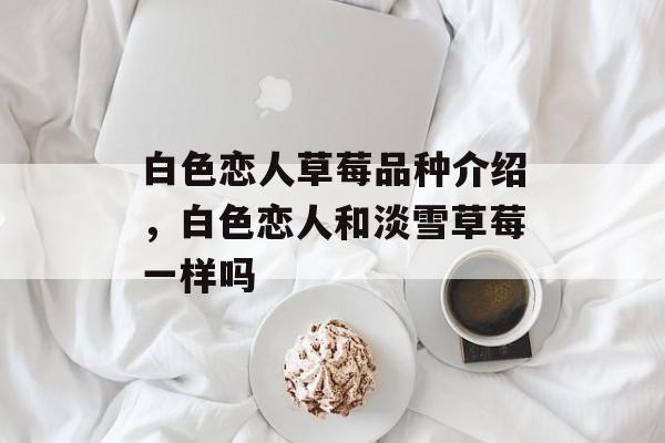 白色恋人草莓品种介绍，白色恋人和淡雪草莓一样吗-第1张图片-