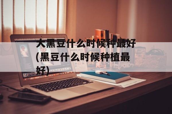大黑豆什么时候种最好(黑豆什么时候种植最好)-第1张图片-