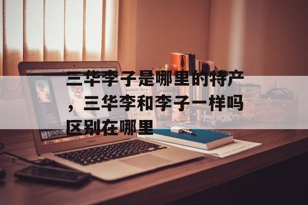 三华李子是哪里的特产，三华李和李子一样吗区别在哪里-第1张图片-