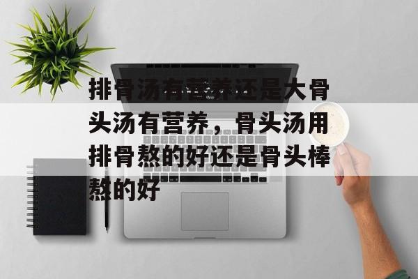 排骨汤有营养还是大骨头汤有营养，骨头汤用排骨熬的好还是骨头棒熬的好-第1张图片-