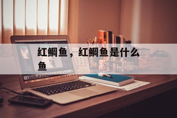红鲷鱼，红鲷鱼是什么鱼-第1张图片-