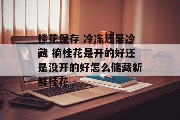 桂花保存 冷冻还是冷藏 摘桂花是开的好还是没开的好怎么储藏新鲜桂花-第1张图片-
