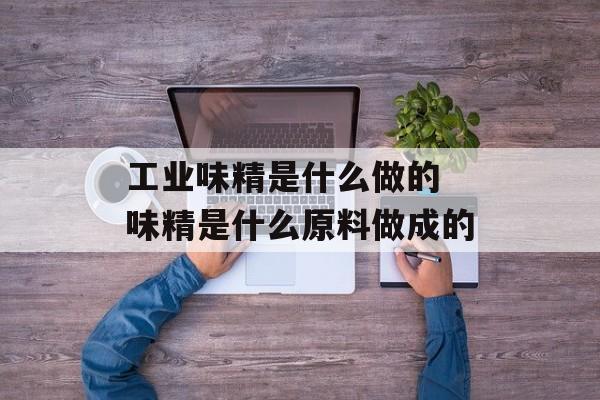 工业味精是什么做的 味精是什么原料做成的-第1张图片-