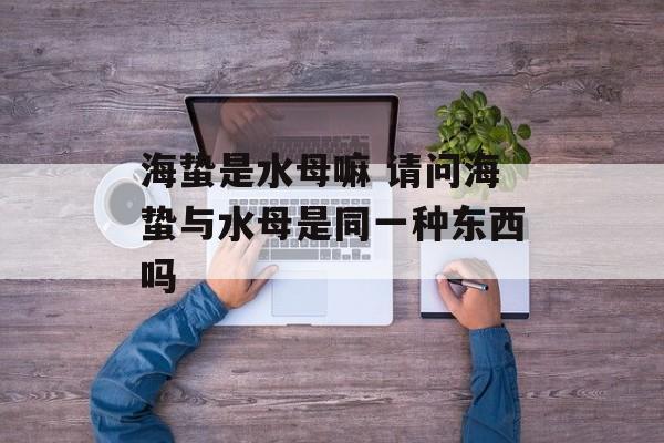 海蛰是水母嘛 请问海蛰与水母是同一种东西吗-第1张图片-