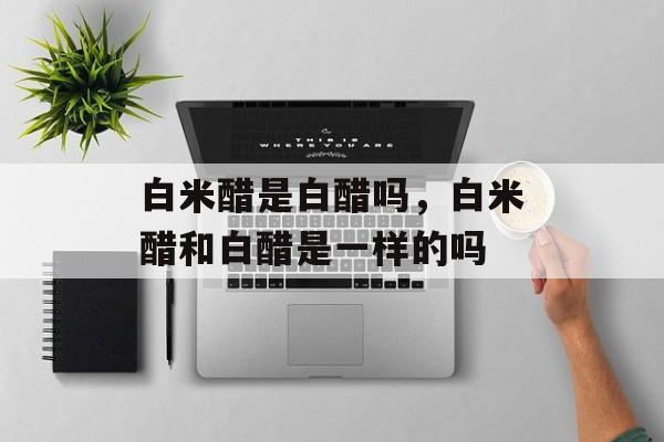 白米醋是白醋吗，白米醋和白醋是一样的吗-第1张图片-