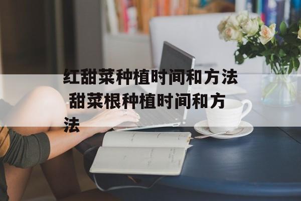 红甜菜种植时间和方法 甜菜根种植时间和方法-第1张图片-