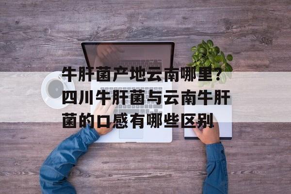 牛肝菌产地云南哪里？四川牛肝菌与云南牛肝菌的口感有哪些区别-第1张图片-