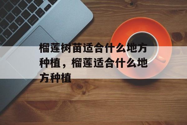 榴莲树苗适合什么地方种植，榴莲适合什么地方种植-第1张图片-