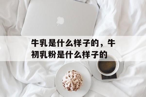 牛乳是什么样子的，牛初乳粉是什么样子的-第1张图片-