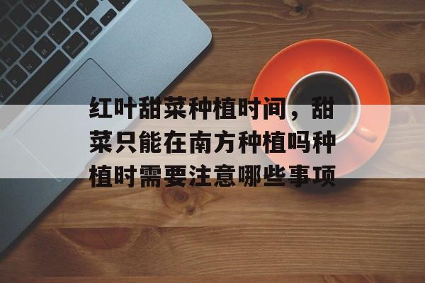 红叶甜菜种植时间，甜菜只能在南方种植吗种植时需要注意哪些事项-第1张图片-