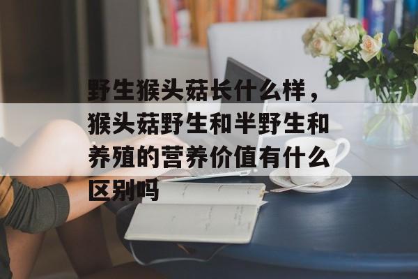 野生猴头菇长什么样，猴头菇野生和半野生和养殖的营养价值有什么区别吗-第1张图片-