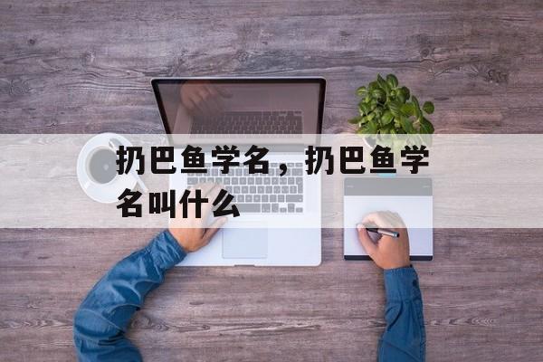 扔巴鱼学名，扔巴鱼学名叫什么-第1张图片-
