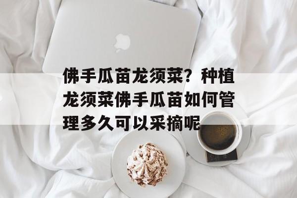 佛手瓜苗龙须菜？种植龙须菜佛手瓜苗如何管理多久可以采摘呢-第1张图片-