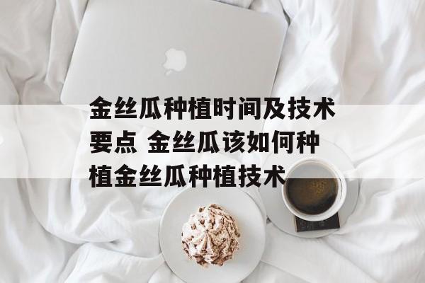 金丝瓜种植时间及技术要点 金丝瓜该如何种植金丝瓜种植技术-第1张图片-