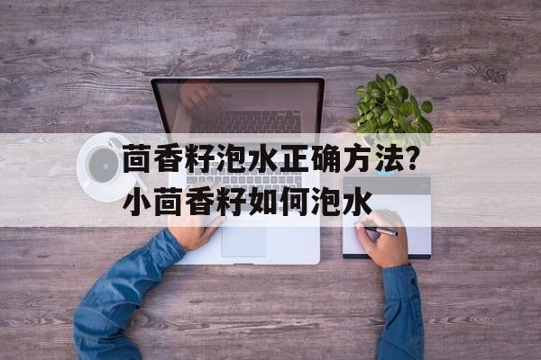 茴香籽泡水正确方法？小茴香籽如何泡水-第1张图片-