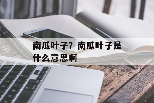 南瓜叶子？南瓜叶子是什么意思啊-第1张图片-