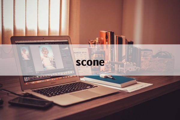scone-第1张图片- scone-第1张图片-