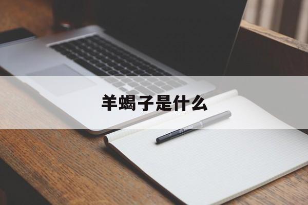 羊蝎子是什么-第1张图片- 羊蝎子是什么-第1张图片-