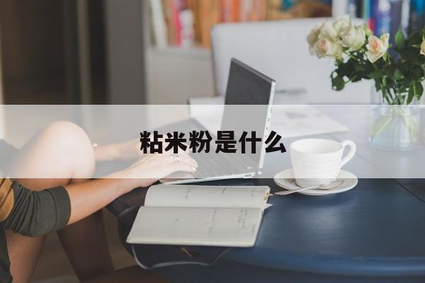 粘米粉是什么-第1张图片- 粘米粉是什么-第1张图片-