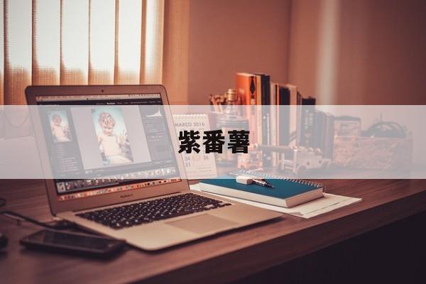 紫番薯-第1张图片- 紫番薯-第1张图片-
