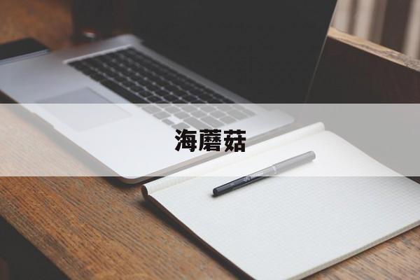 海蘑菇-第1张图片- 海蘑菇-第1张图片-