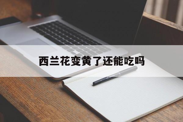 西兰花变黄了还能吃吗-第1张图片- 西兰花变黄了还能吃吗-第1张图片-